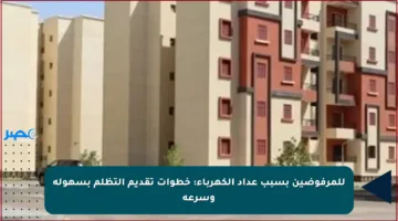 للمرفوضين بسبب عداد الكهرباء: خطوات تقديم التظلم بسهولة وسرعة